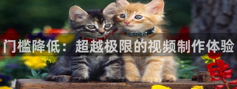 糖心有谁：门槛降低：超越极限的视频制作体验